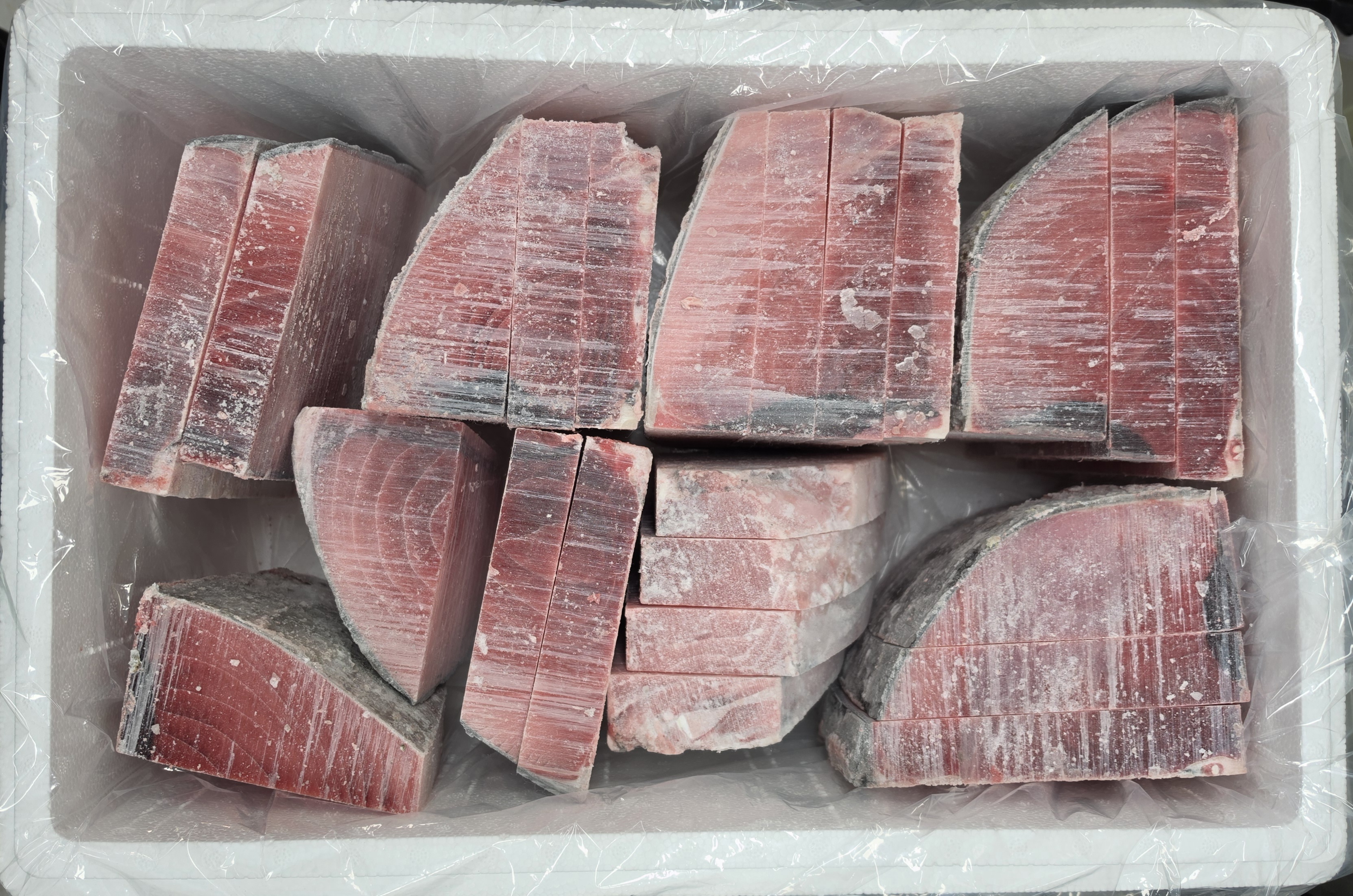 [업체용] 눈다랑어 스시대절 10kg